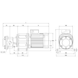 Elektro-Zahnradpumpe mit Montagefuß - 230/400 Volt - 0,55 kW - 62,7 l/min - 3 bar Ausgangsdruck - G 1 1/4 IG