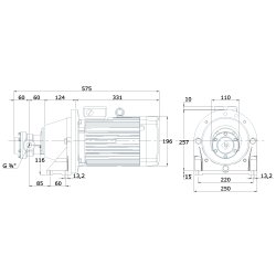 Elektro-Zahnradpumpe mit Montagefuß - 230/400 Volt - 2,2 kW - 20,3 l/min - 35 bar Ausgangsdruck - G 3/4 IG