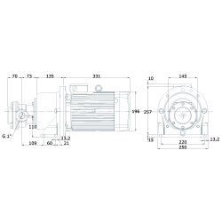 Elektro-Zahnradpumpe mit Montagefuß - 230/400 Volt - 3,0 kW - 30,5 l/min - 32 bar Ausgangsdruck - G 1 IG