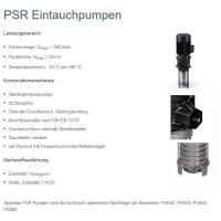 Spandau Kühlwasserpumpe - 230/400 Volt - PSR  02 -...