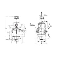 SKF Kolbenpumpe 204-650-3 - Mechanisch - 1,6 cm³/Hub...