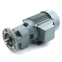 SKF Getriebemotor IP55 - 220 - 240 V / 380 - 420 V, 50 Hz...